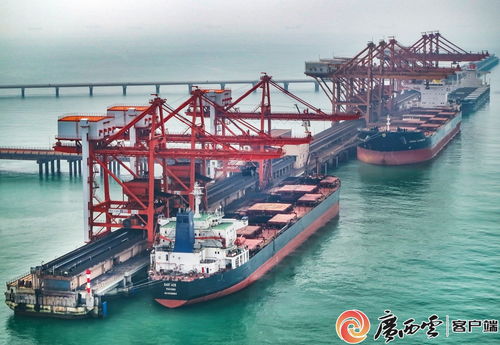 廣西鋼鐵集團 以高品質產品通過多項國際認證，助力畜牧漁業飼料銷售